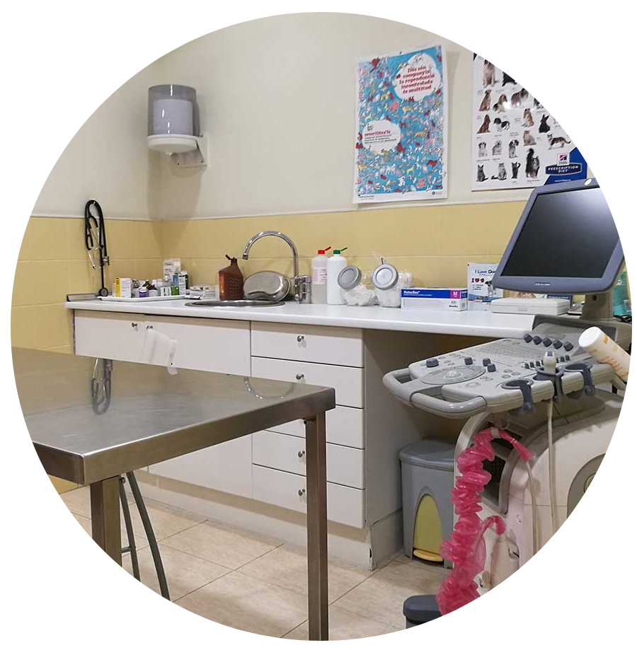 veterinariacentreoperacions