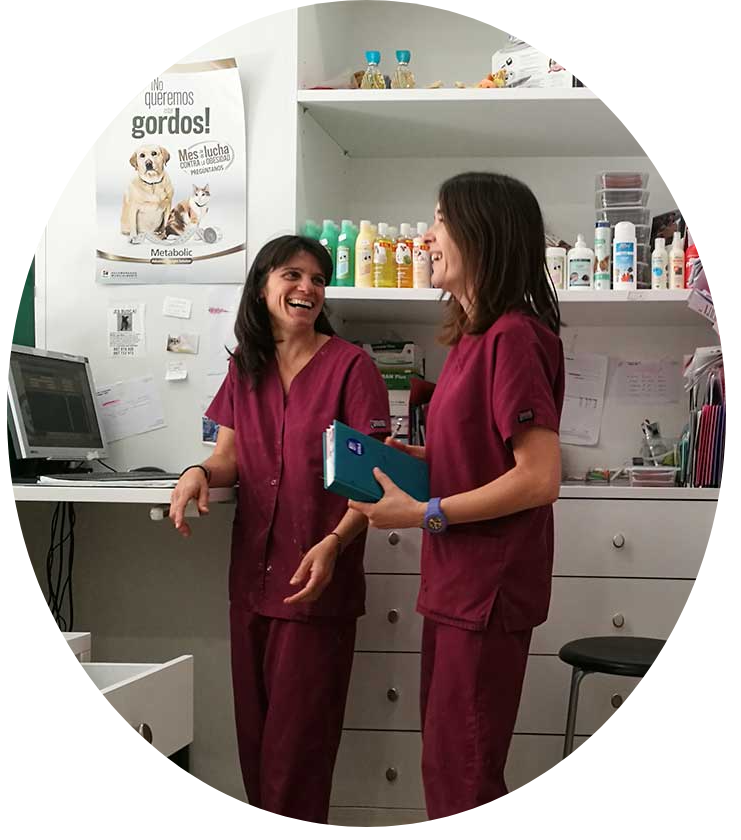 veterinariarecepcio4