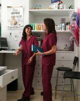 veterinaries